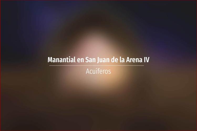 Manantial en San Juan de la Arena IV