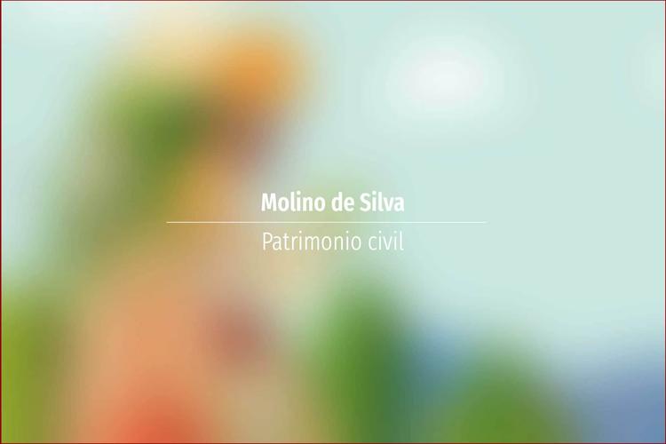 Molino de Silva