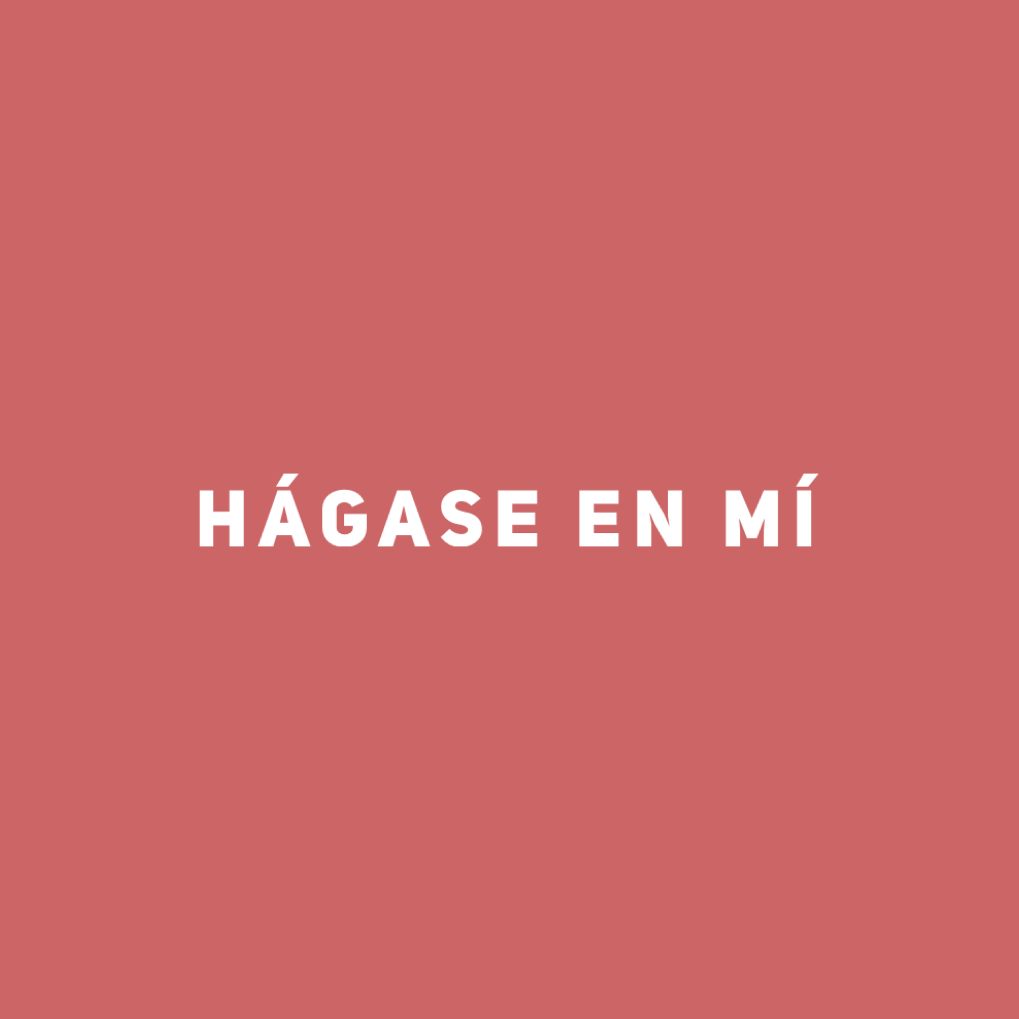 Hoy el reto del amor es renovar mi “hágase” junto con María y dejar que el Señor realice su obra en mí