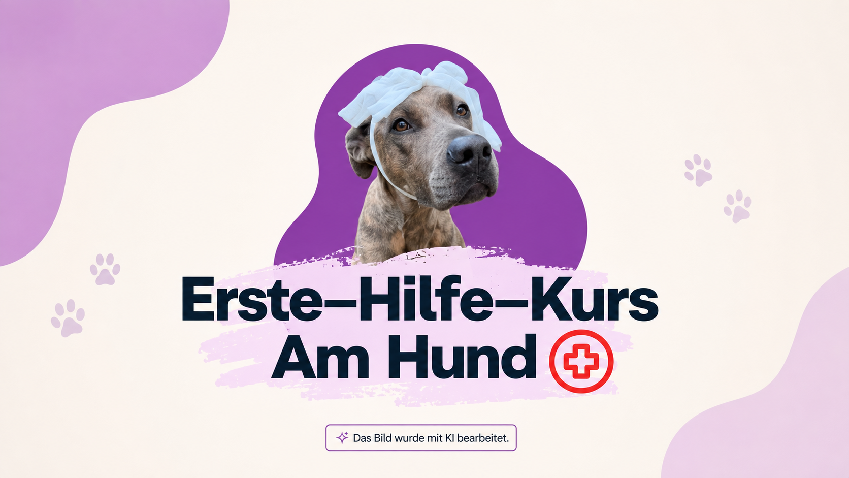 Wenn jede Sekunde zählt: Lerne, deinem Hund im Notfall richtig zu helfen! 🐾❤️ CW Pfotenvielfalt aus Ahnsen 