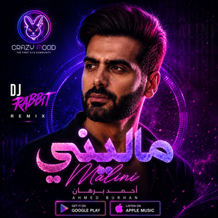 DJ RABBIT _ ماليني - احمد برهان 