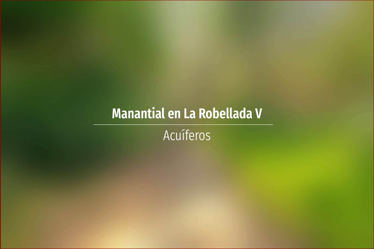 Manantial en La Robellada V