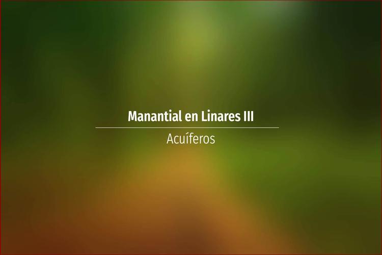 Manantial en Linares III