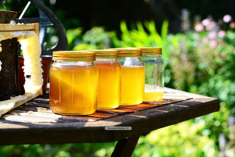 Jornadas gastronómicas de la miel en Teverga