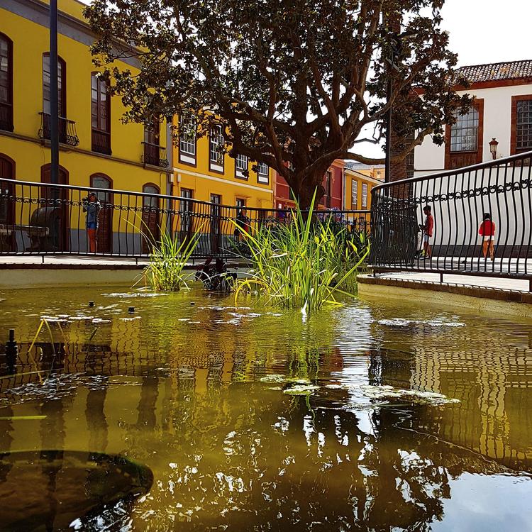 La Laguna si prepara alla Romería Regional di San Benito: 80 carri, 40 gruppi folk e per la prima volta San Cristóbal in processione
