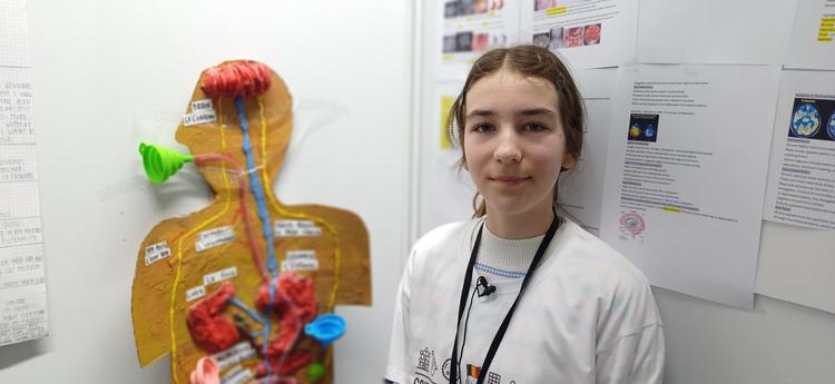 Projet 46: Comment le stress affecte l’inflammation intestinale et le risque de maladie