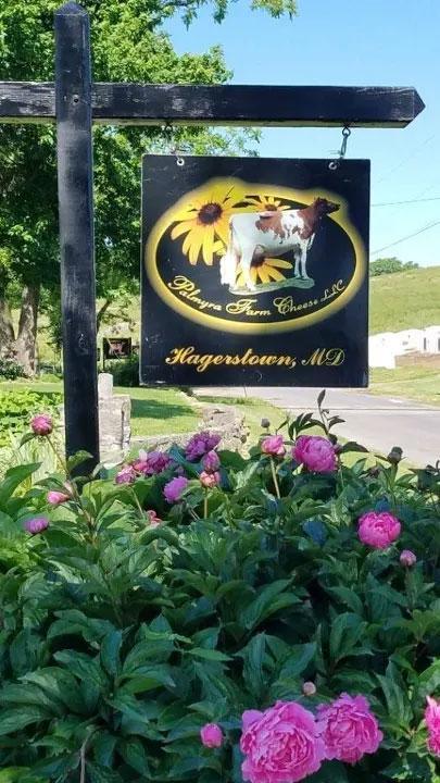 2019 Farm of the Year - Palmyra Farm