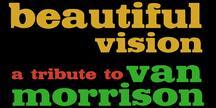 Beautiful Vision - The Essential Songs of Van Morrison