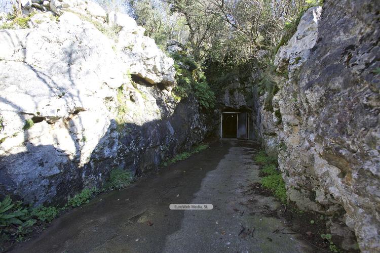 Cueva Quesería La Pandiella