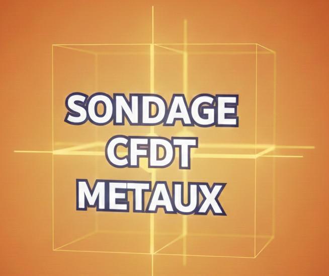 Sondage : seriez-vous intéressé(e) par ces formations ?