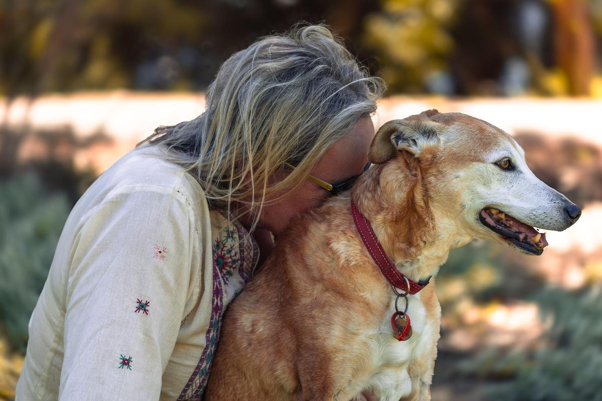 Hund und Mensch: Was uns wirklich verbindet