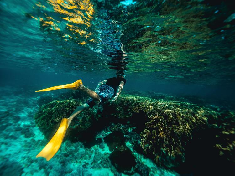 Por qué julio es el mejor mes para practicar snorkel en Canarias