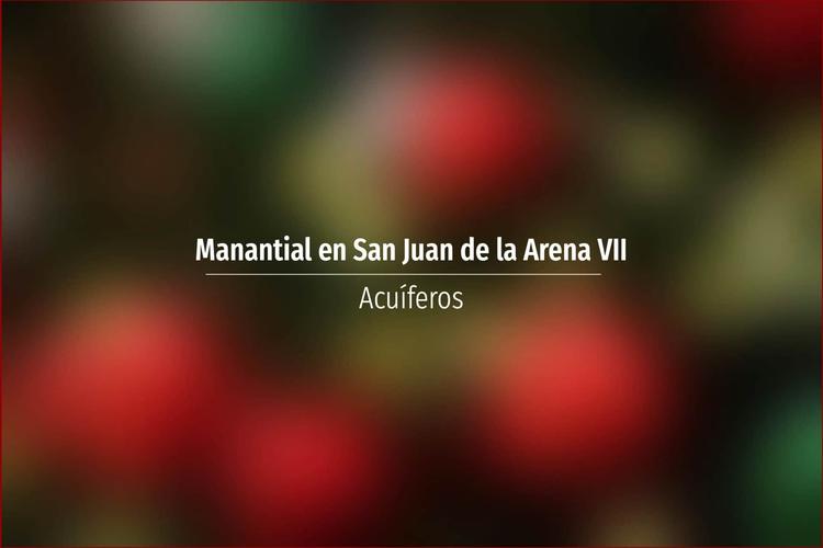Manantial en San Juan de la Arena VII