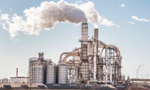 Process steam from waste heat: How the paper industry reduces energy consumption   