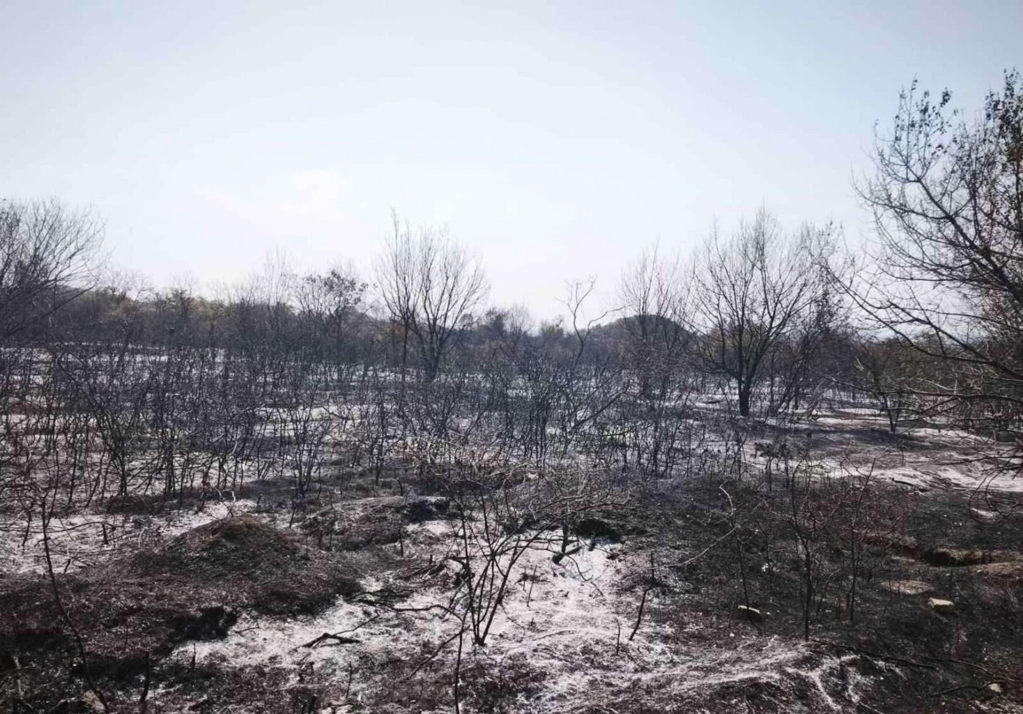 Пожарът в района на Баритна мина край Стара Загора е напълно загасен