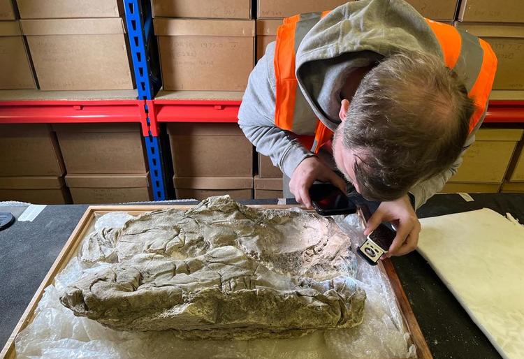 Imperial Purple Cloth Discovered in Roman Infant Burials in York