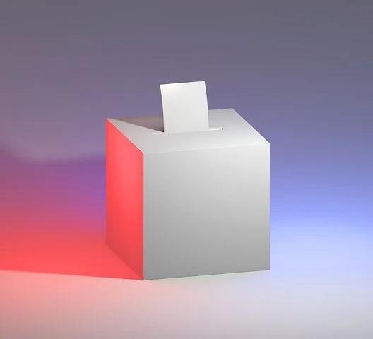 Elections professionnelles : Comment voter?