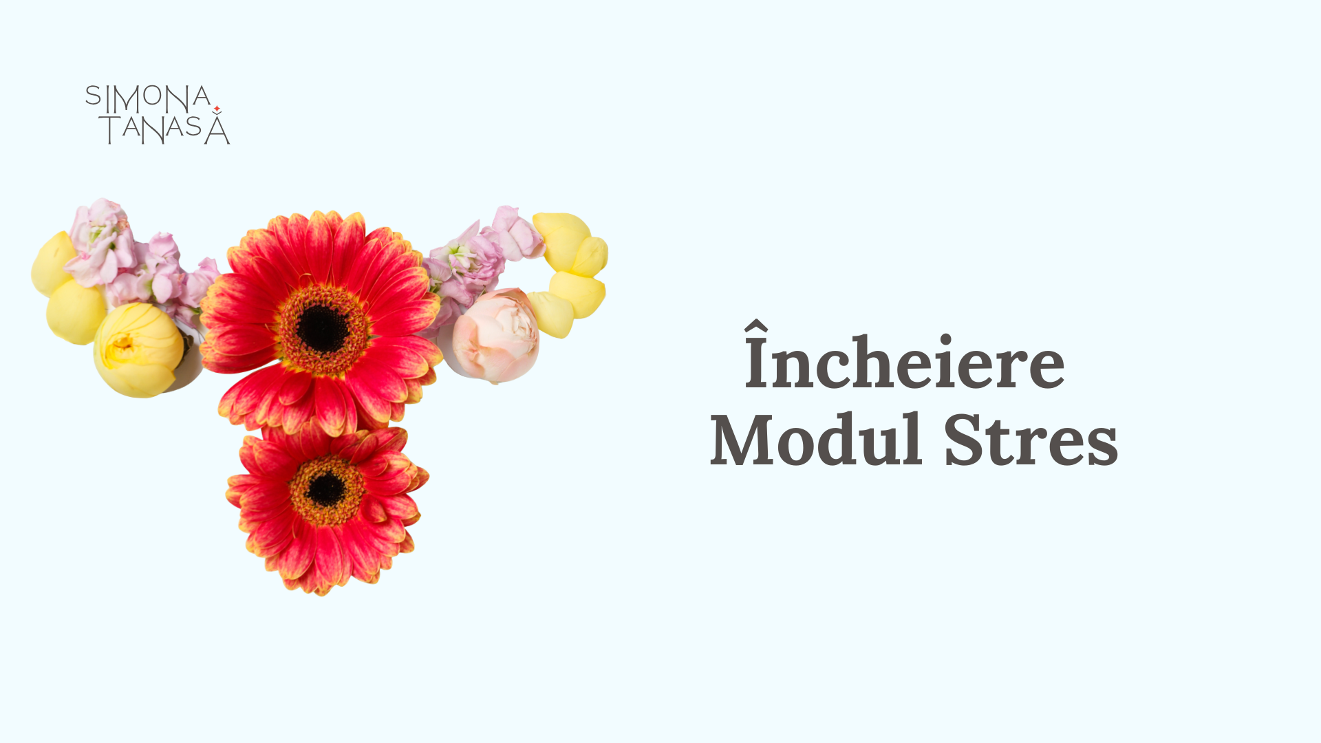 Încheiere Modul Stres