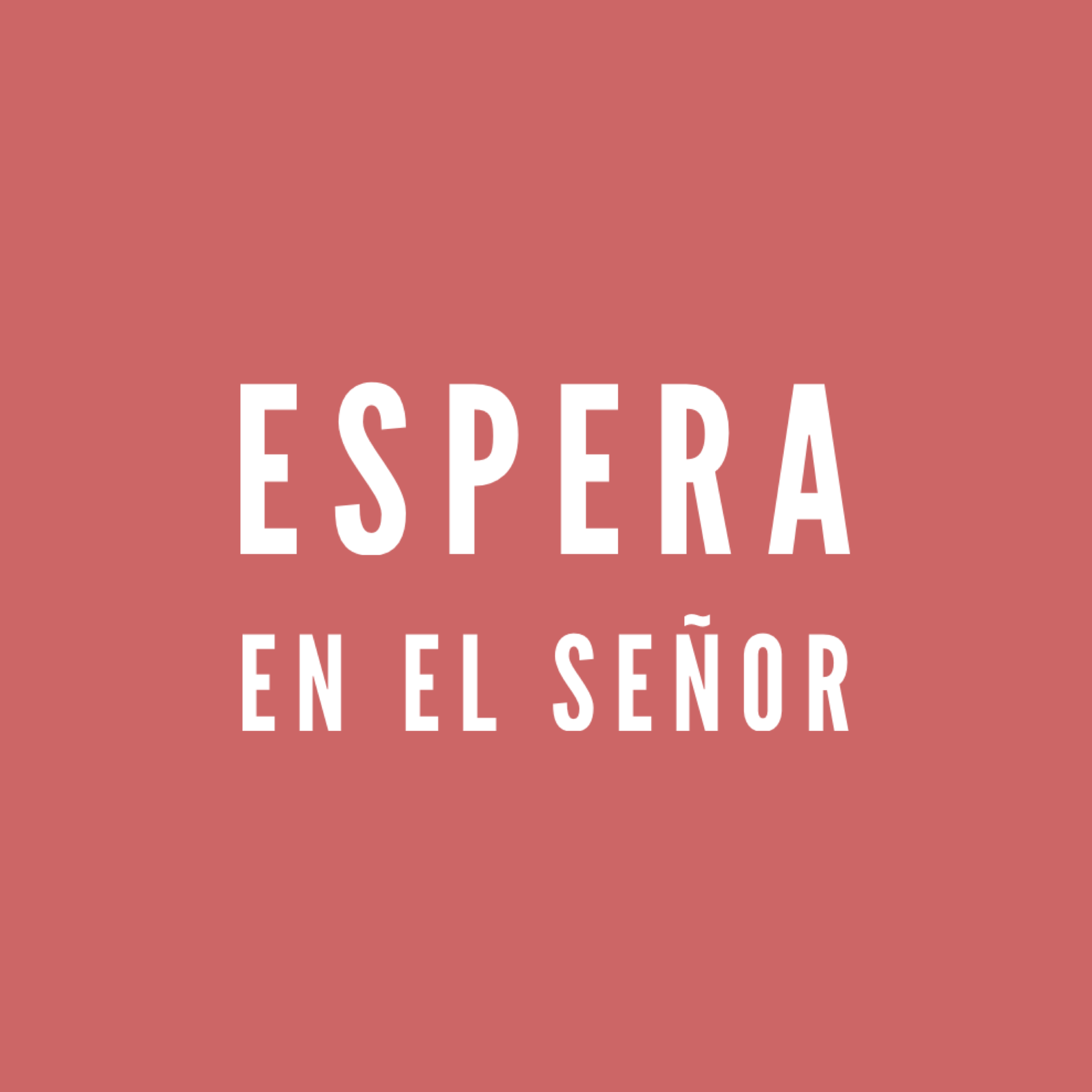 Hoy el reto del amor es que cocines con el Señor
