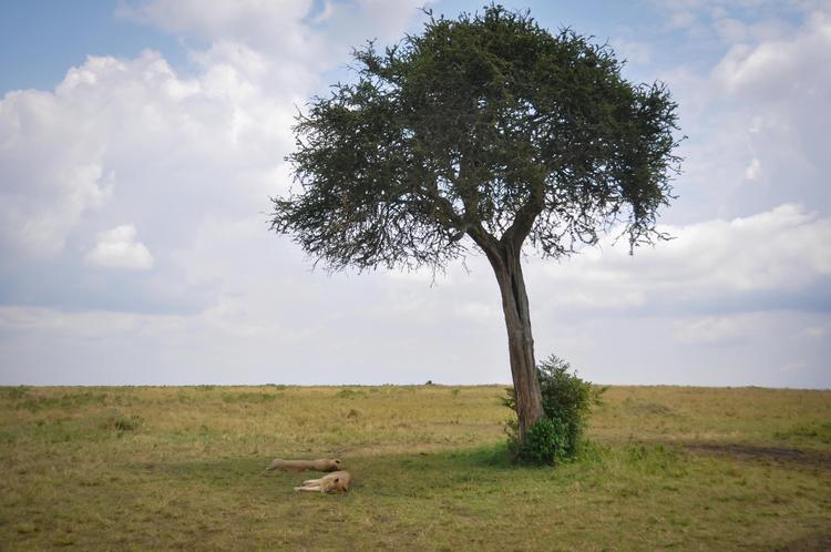 COMO RECONCILIARSE CON DIOS