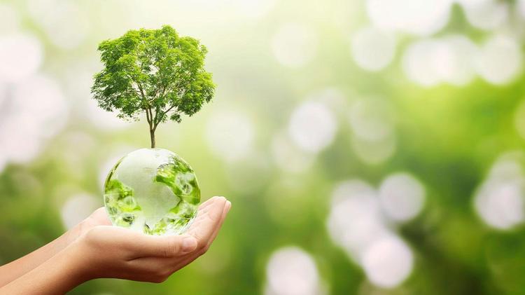 Les engagements de la fondation en matière sociale et environnementale