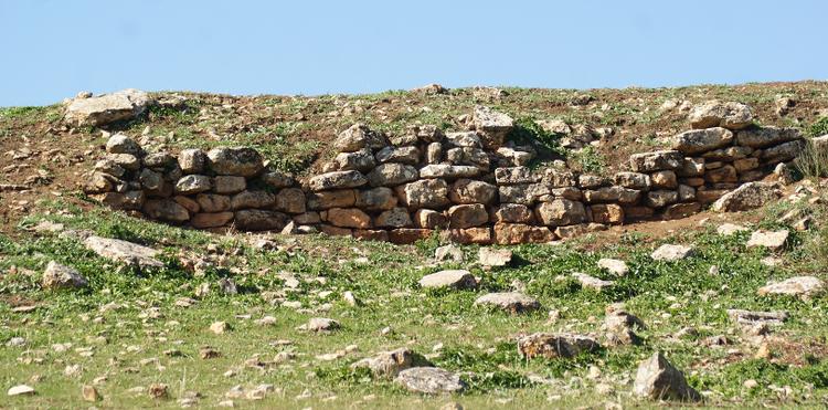 Muralla