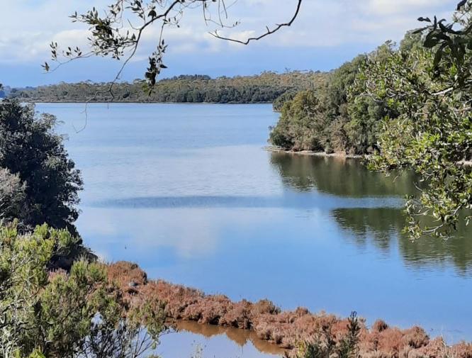 Étang de Diana : la pêche et la commercialisation des coquillages suspendues