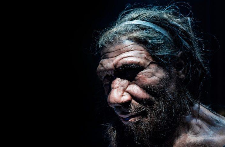 WHO WERE THE NEANDERTHALS AND DENISOVANS?