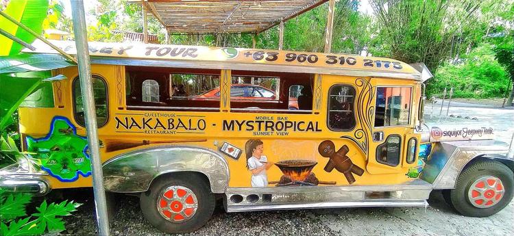 Jeepney Aventure Tour Siquijor