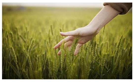 CSA Forêt-Agriculture du 17 juin 2026 : des alertes nettes, des réponses qui tardent...!