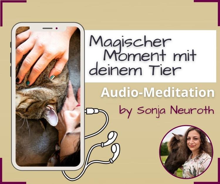 Magischer Moment mit deinem Tier (Meditation)