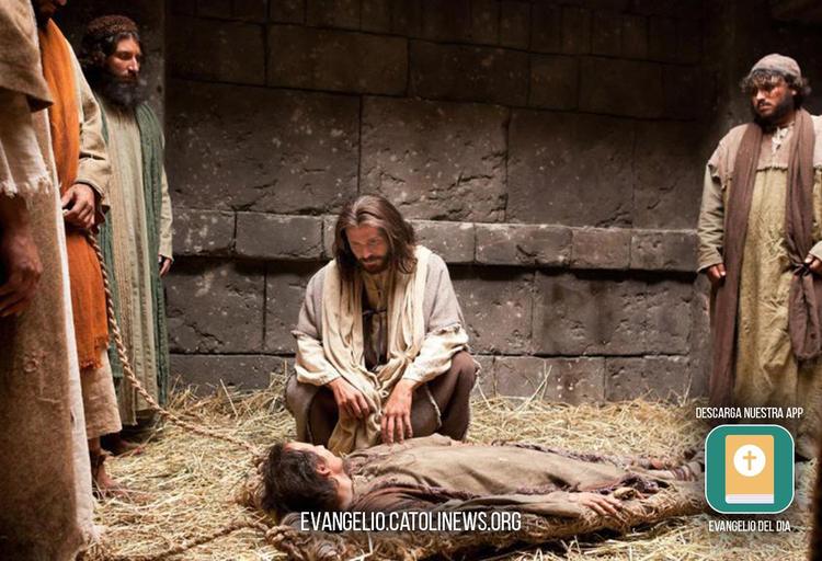Daily Reflection on the Gospel of Thursday, July 2, 2026