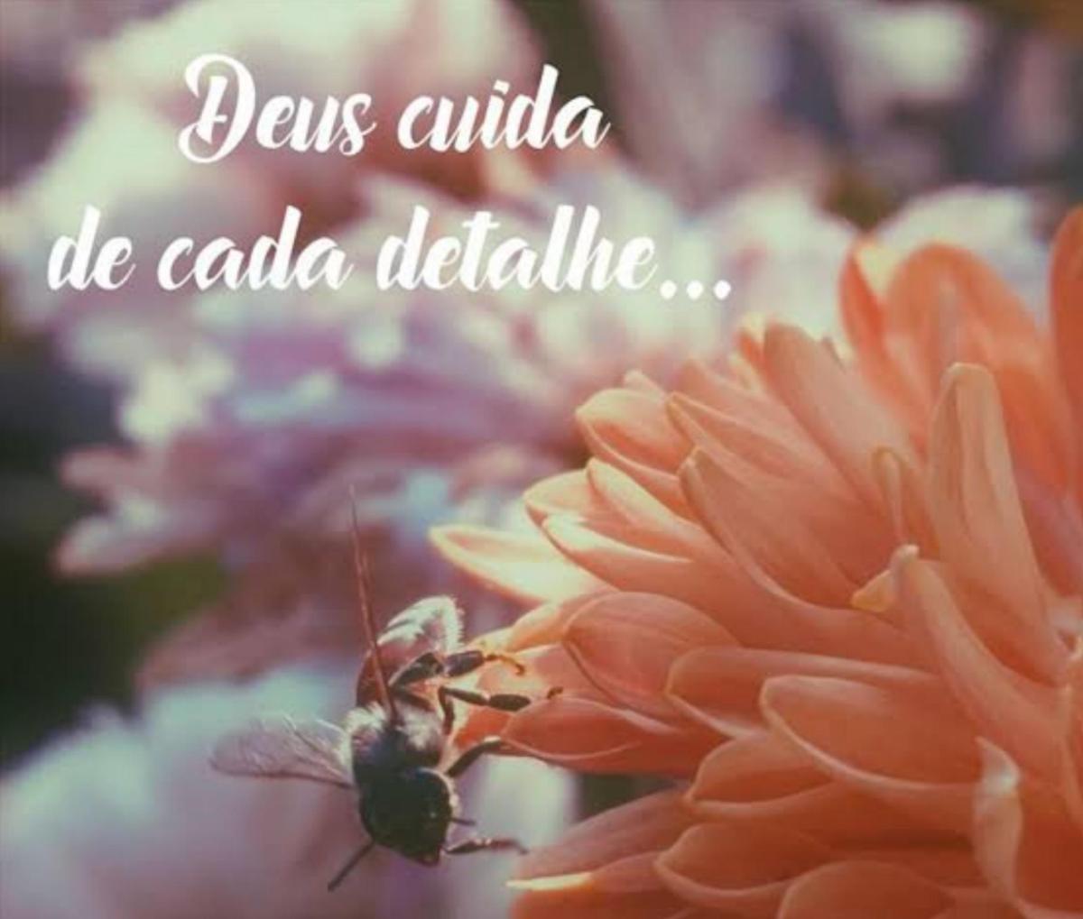 18/07/21 Deus cuide de cada detalhe!