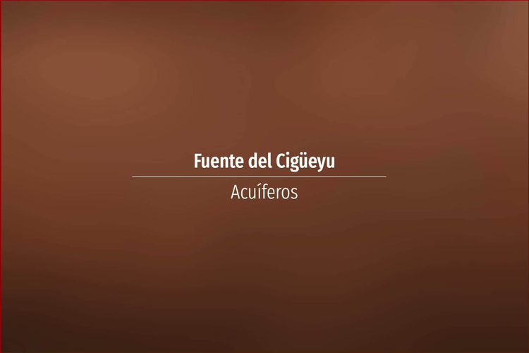 Fuente del Cigüeyu