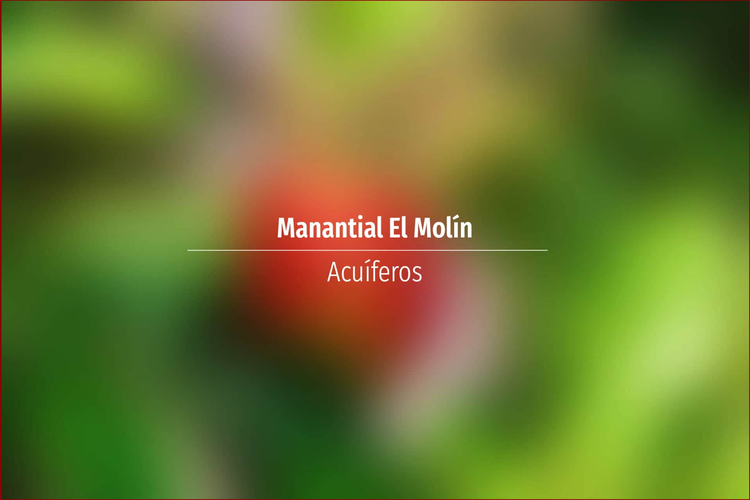 Manantial El Molín