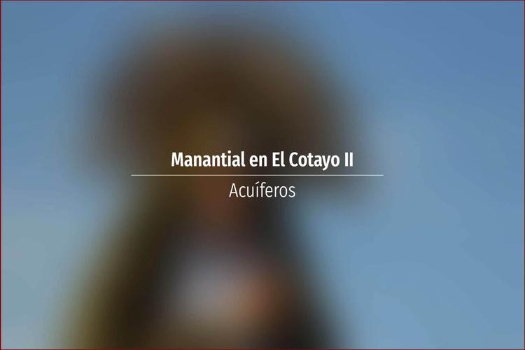 Manantial en El Cotayo II