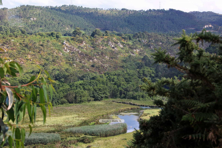 Reserva Natural Parcial de Barayo