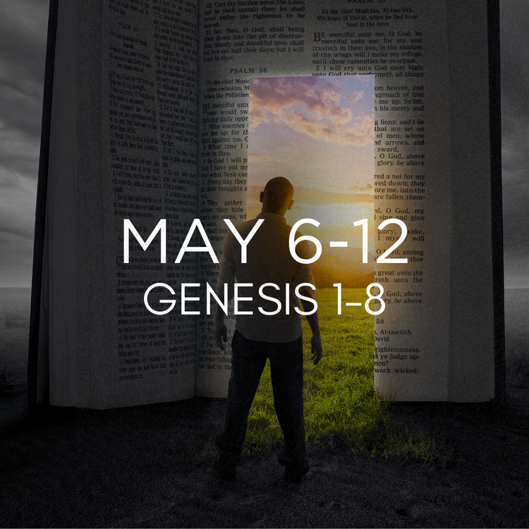 Genesis 1-8