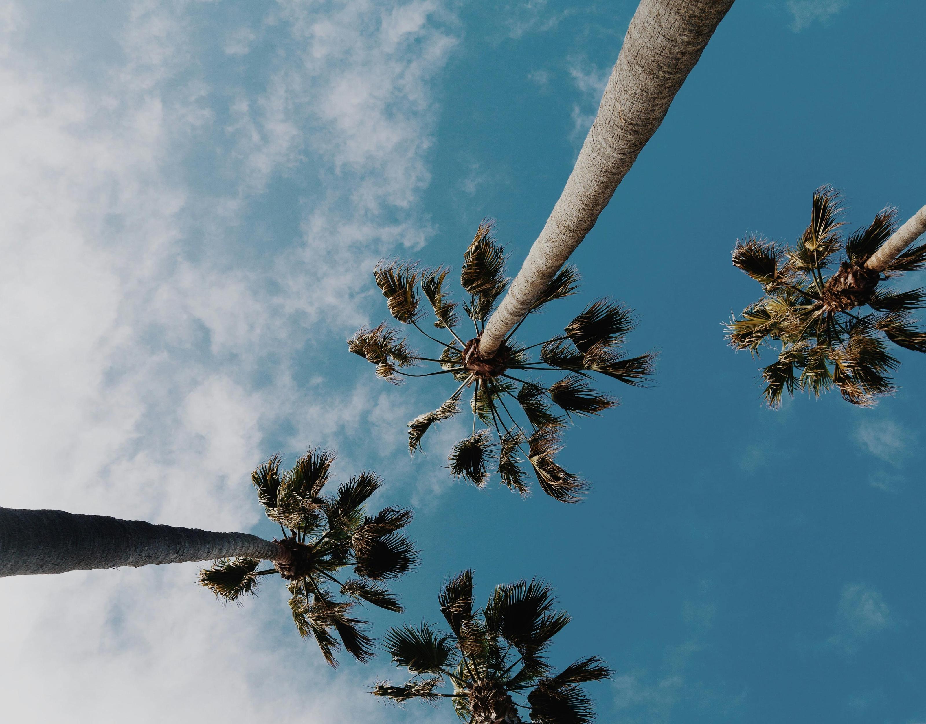 The Science of Vibes: How the Nervous System Reads a Room Before the Mind Does