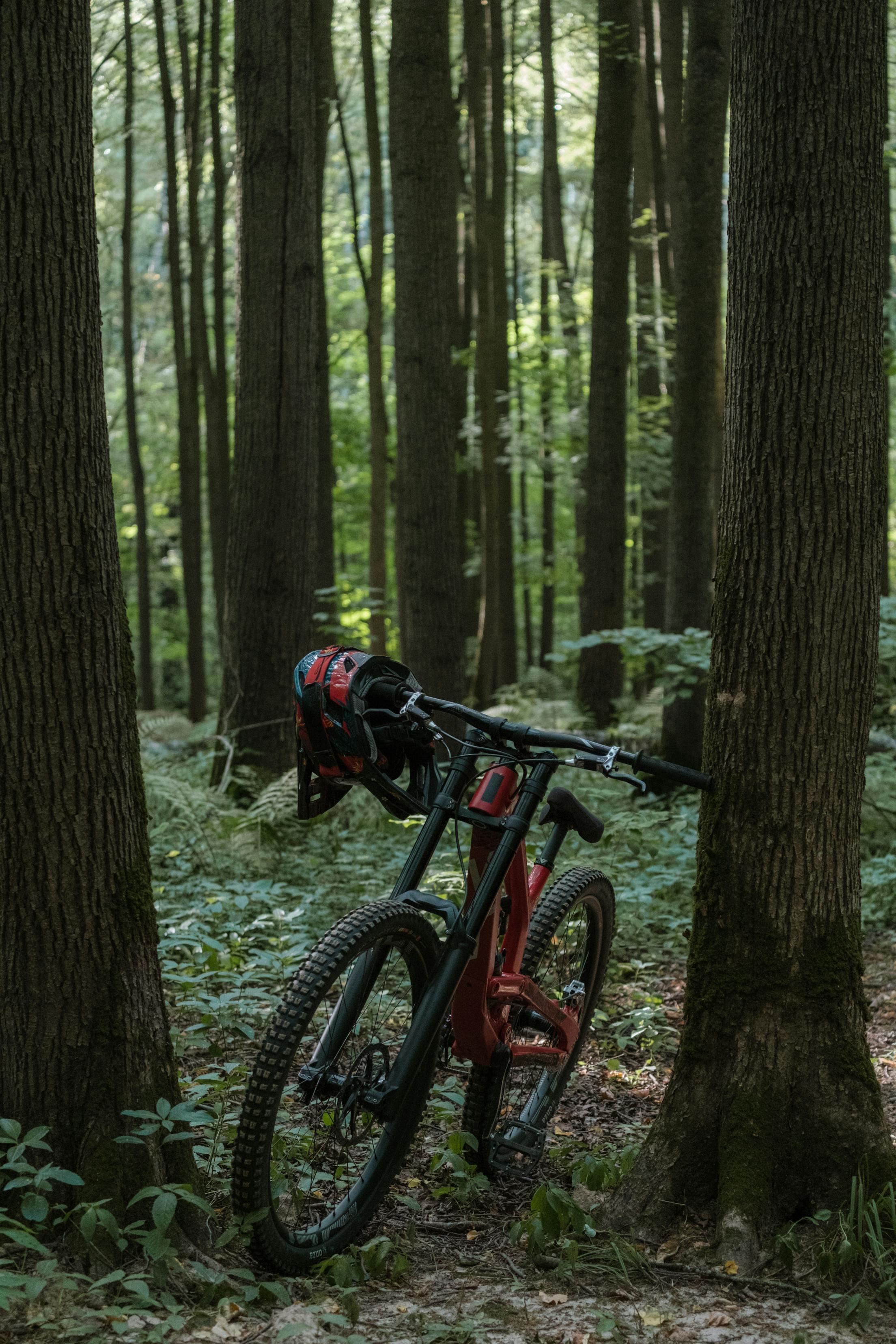 Tokai Forest MTB Trails