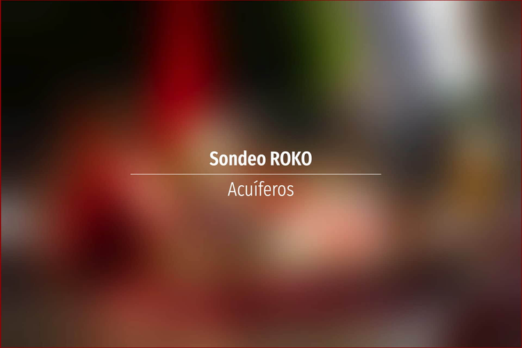 Sondeo ROKO