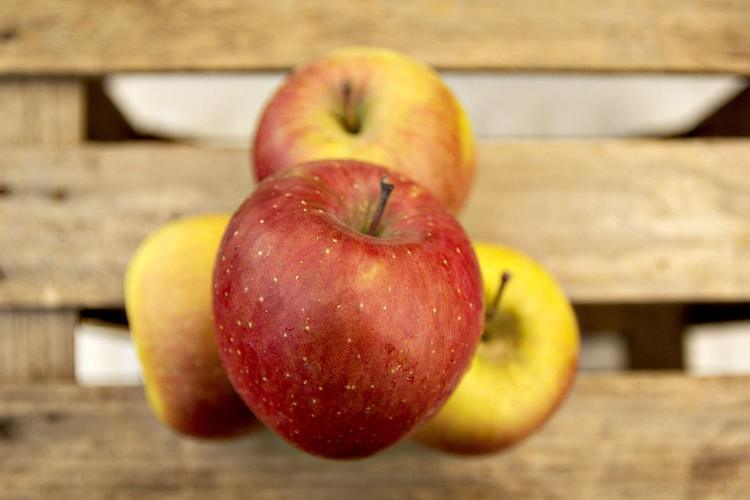 Apples