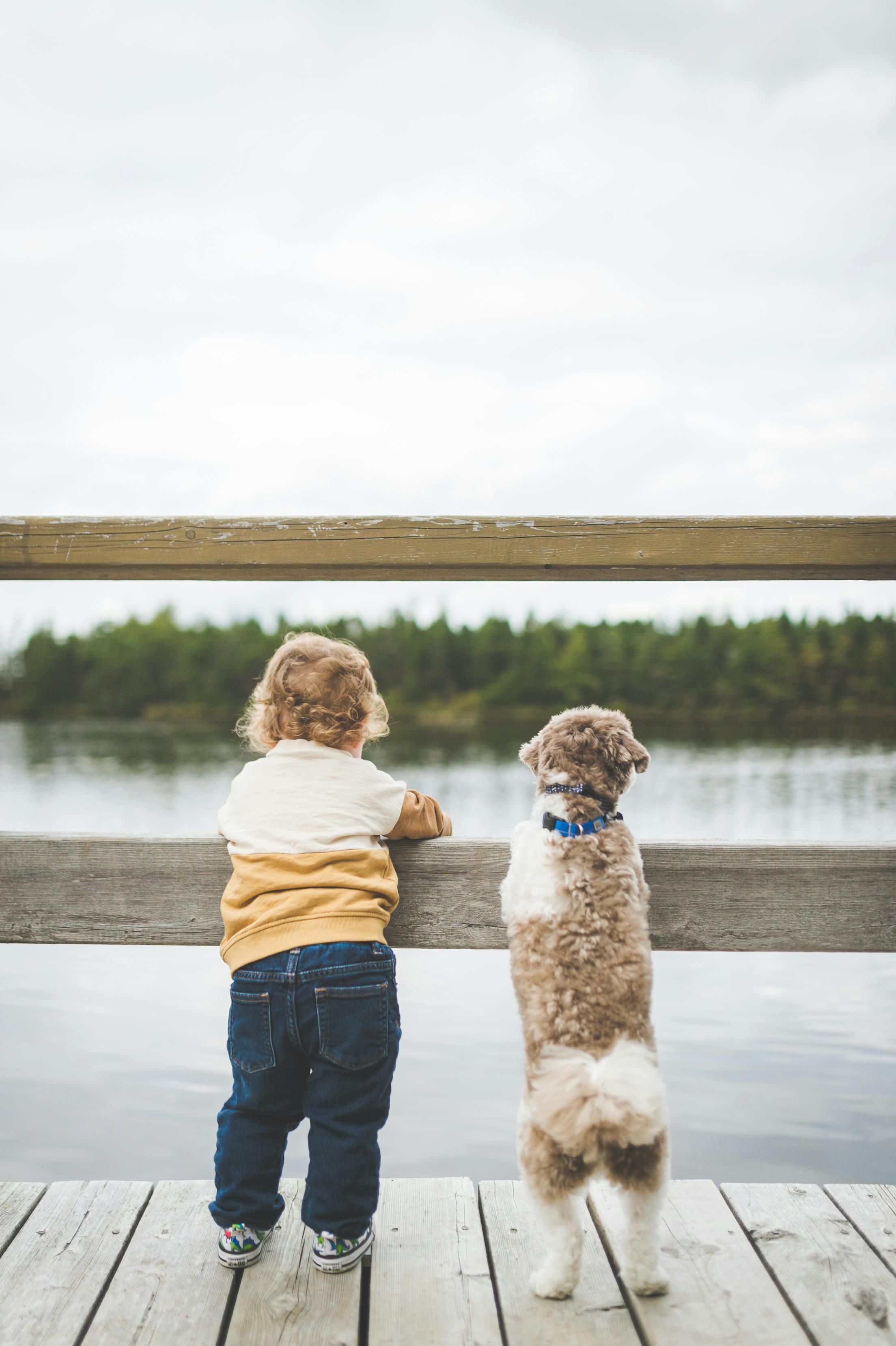 Kids and pets should be scared of their parents