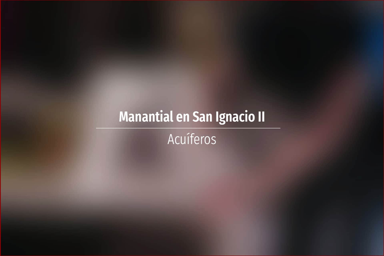 Manantial en San Ignacio II