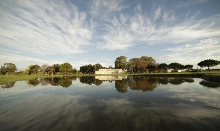 Château Dauzac 2025