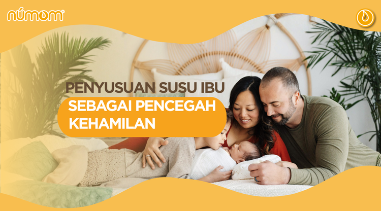 Penyusuan Susu Ibu Sebagai Pencegah Kehamilan
