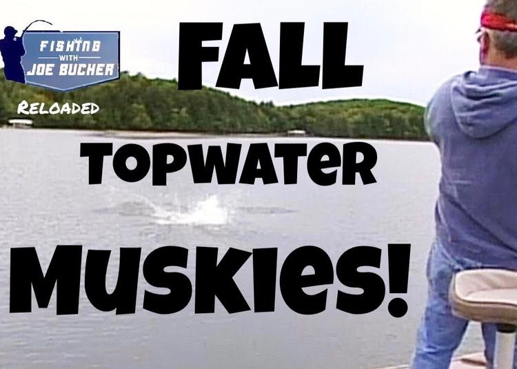 Topwater Muskies 