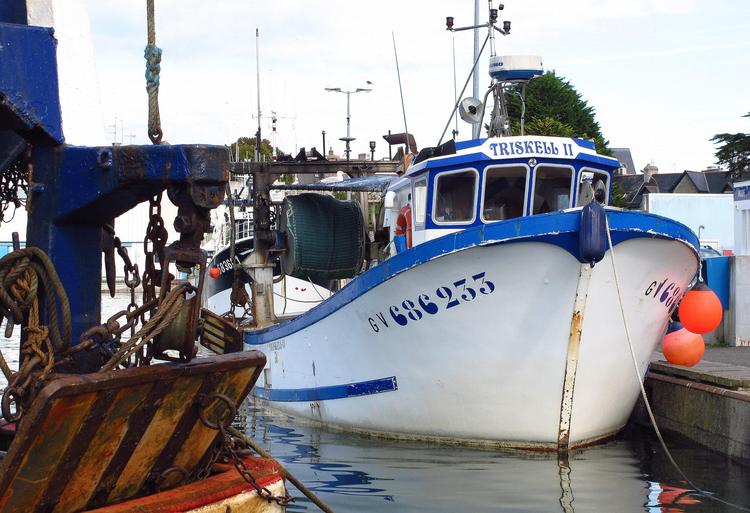 Droni e nuova pattugliatrice contro la pesca illegale: le Canarie aprono alla espansione delle riserve marine