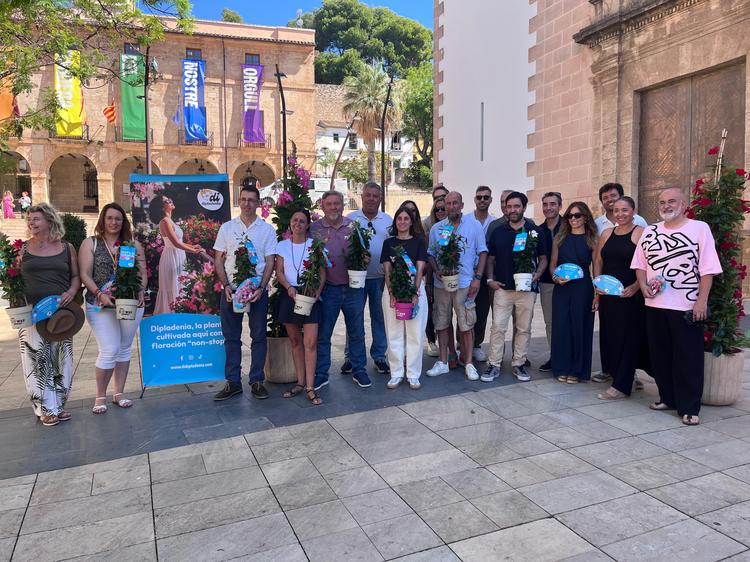 Dénia reparte más de 600 plantas en su nombramiento como Capital de la Dipladenia 2026 