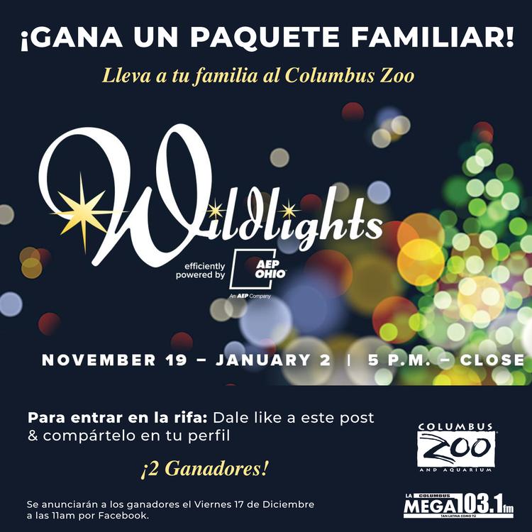 Lleva a tu familia al Columbus Zoo para ver las espectaculares luces de Navidad!
